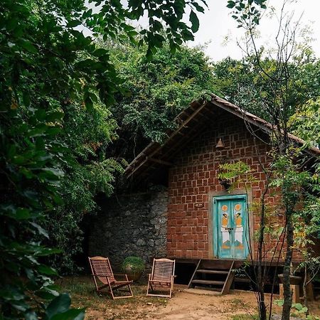Vihanga Village - Jungle Retreat In Dambulla Kültér fotó